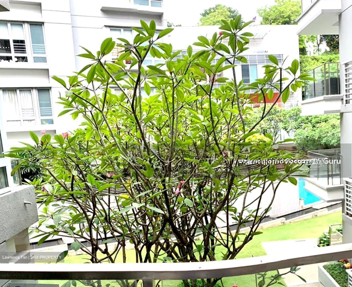 8 @ Mount Sophia (D9), Condominium #544872571